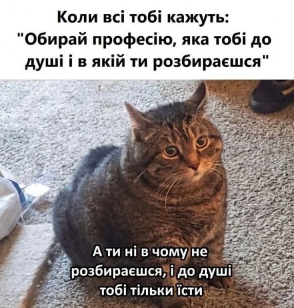 FB IMG 1776233876417