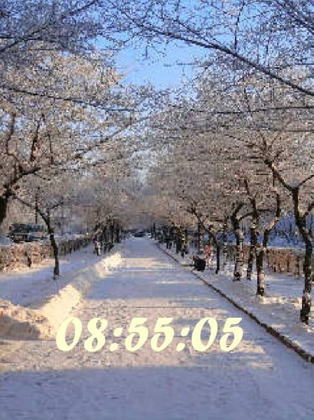 Зимняя аллея