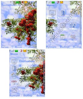 Рябина (havafara)