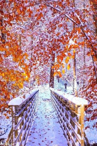 file_94827949