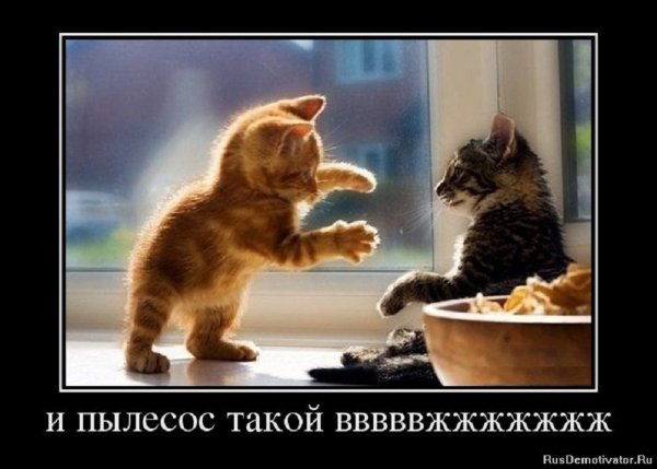 И пылесос вжжжжжжжжж