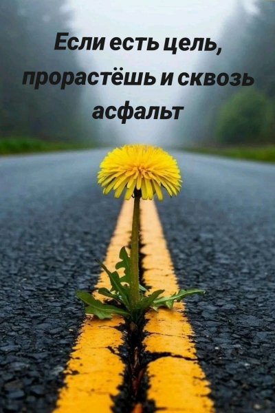 42e5fc7b8fdcb18946041147d9601e57