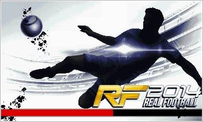 Real Football 2014 480x800 S8000