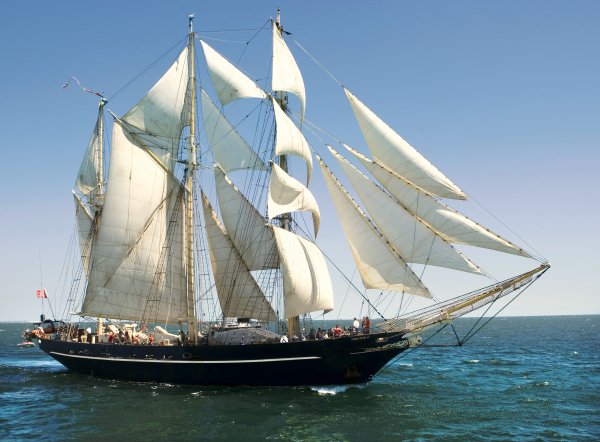 IMG viter59 Leeuwin ll