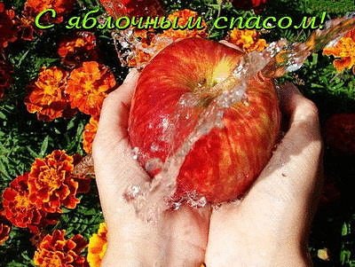 Яблочный спас 0001