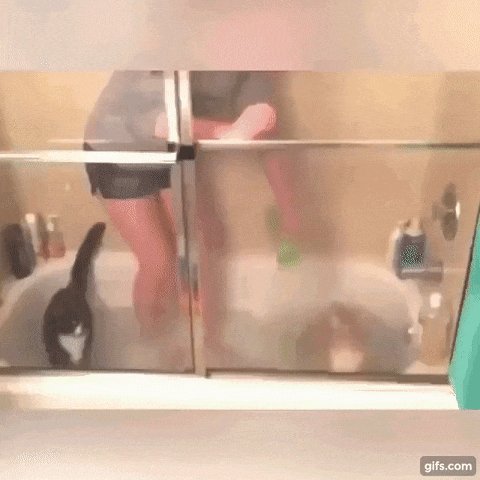 ))