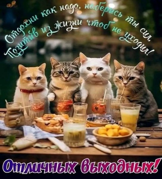 FB IMG 1749273702492