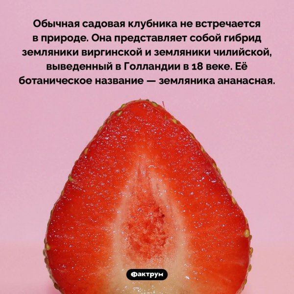 IMG-20260307-WA0008