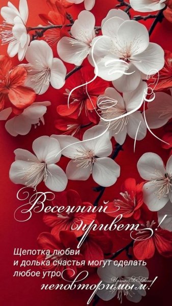 FB IMG 1773633363552