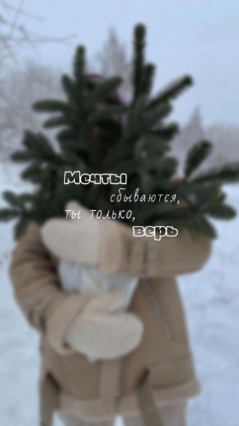file_95448353
