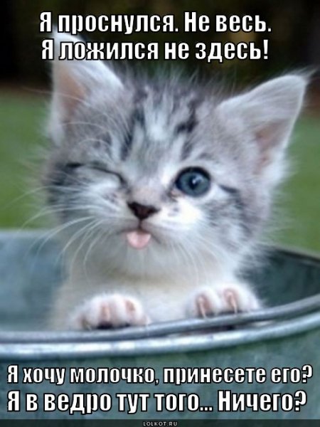 prizovoye-vedro- 1394051085