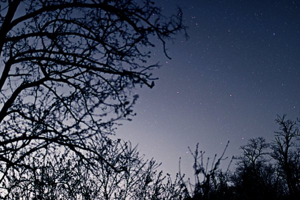 Picsart 25-04-17 15-45-44-876