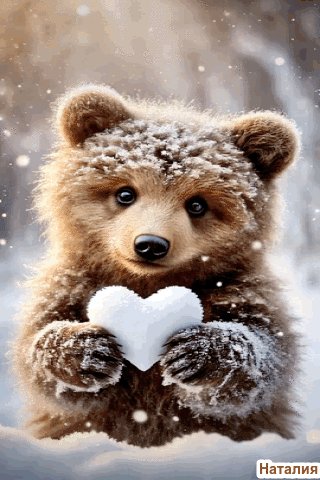 file_101234342