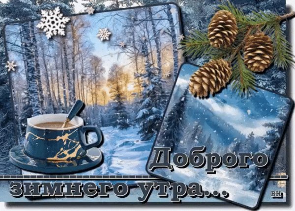 IMG 20260115 104504