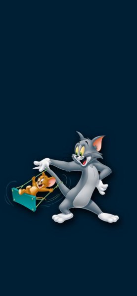 IMG 20240530 081805 798