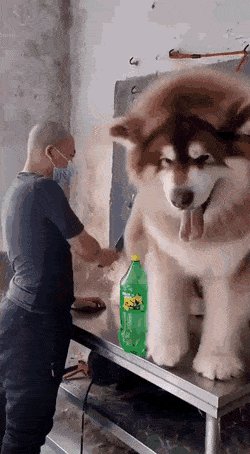 Зацени размерчик..