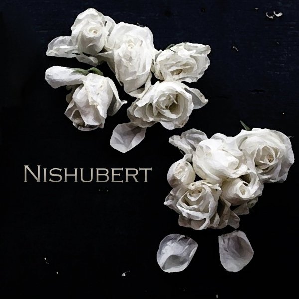 Nishubert - Самолет