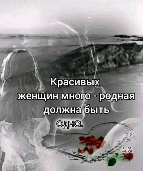 file_101574958