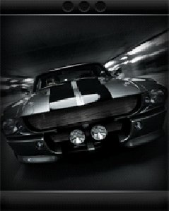 Mustang