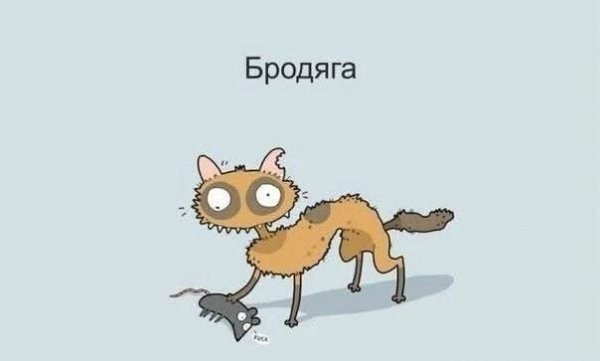 FB IMG 1778852265020