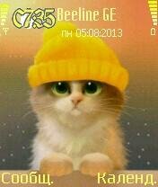 Kitten from Apofiss