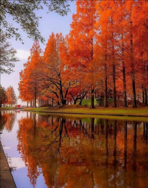 Screenshot 2021-09-24-13-51-58