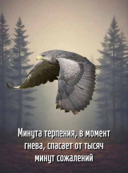 FB IMG 1766591568197