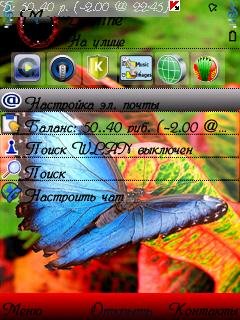 butterfly