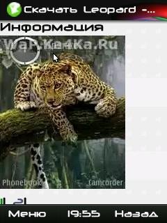 Leopard