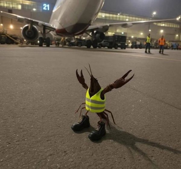 Извини брат но если бы я тебя там увидел бы: