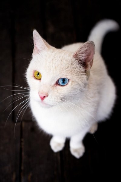 FB IMG 1773953468088