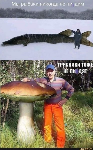 FB IMG 1775097874402