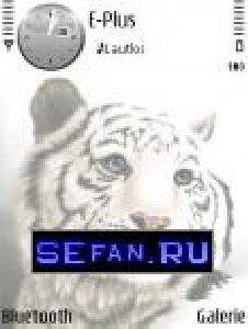 Tigre White
