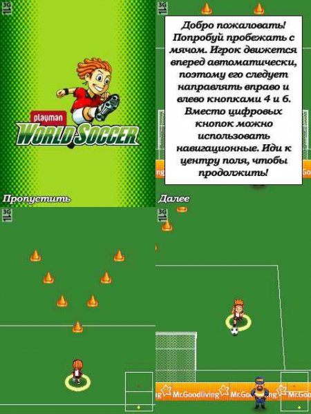 PlaymanWorldSoccer 2d 176x220 ru