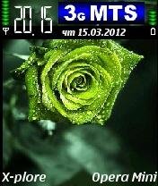 Green Flower by Sherzaman