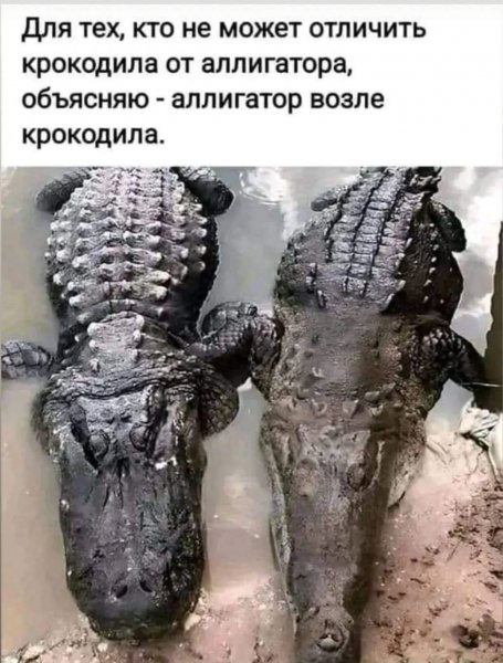 FB IMG 1776781759220