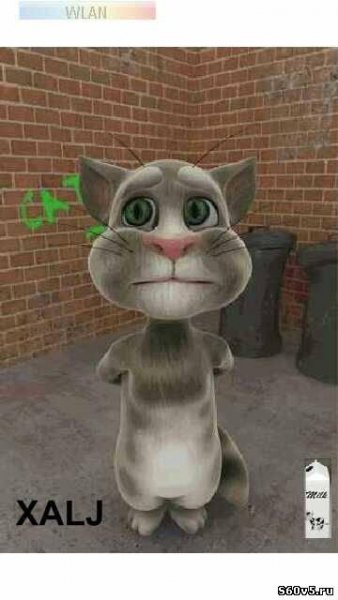Talking Tom Cat 1.51 (EN) для Symbian1 S