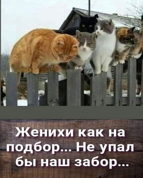 FB IMG 1776446757235