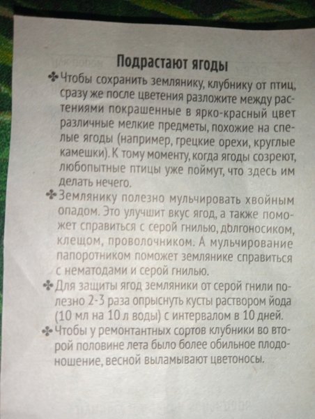 IMG20250603024344 01