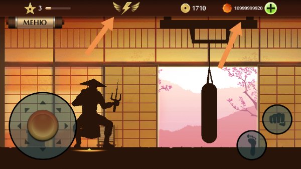 Shadow Fight 2 Special Edition hack