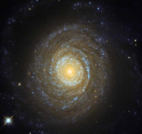 NGC 6753