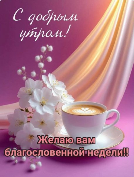 FB IMG 1771824758830