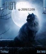 moon-cat