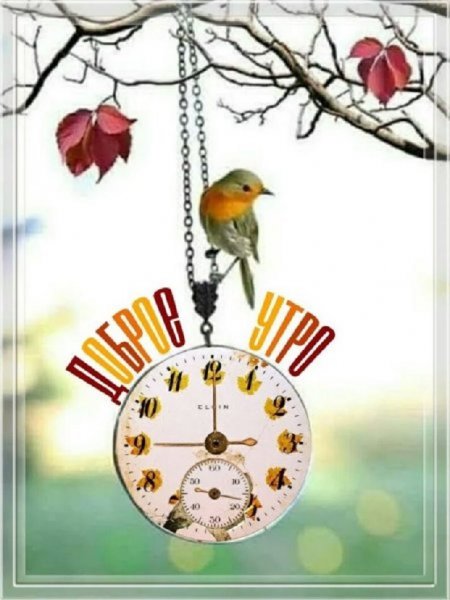 ДОБРОЕ УТРО