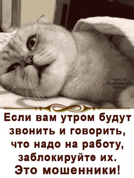 IMG 20230319 203235