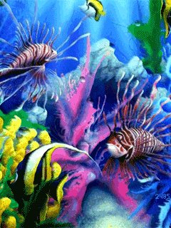 file_25911858