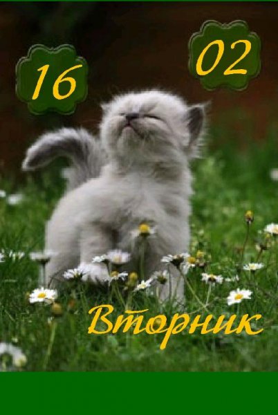 На прогулке