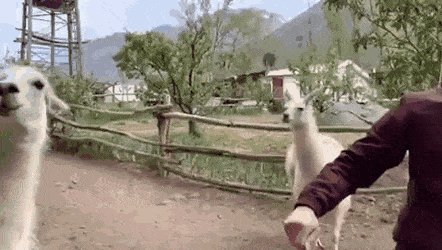 З.Забавно