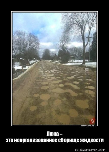 Лужа - это неорганизованное скопление жидкости