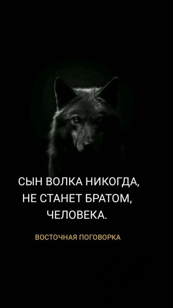 FB IMG 1772345211442